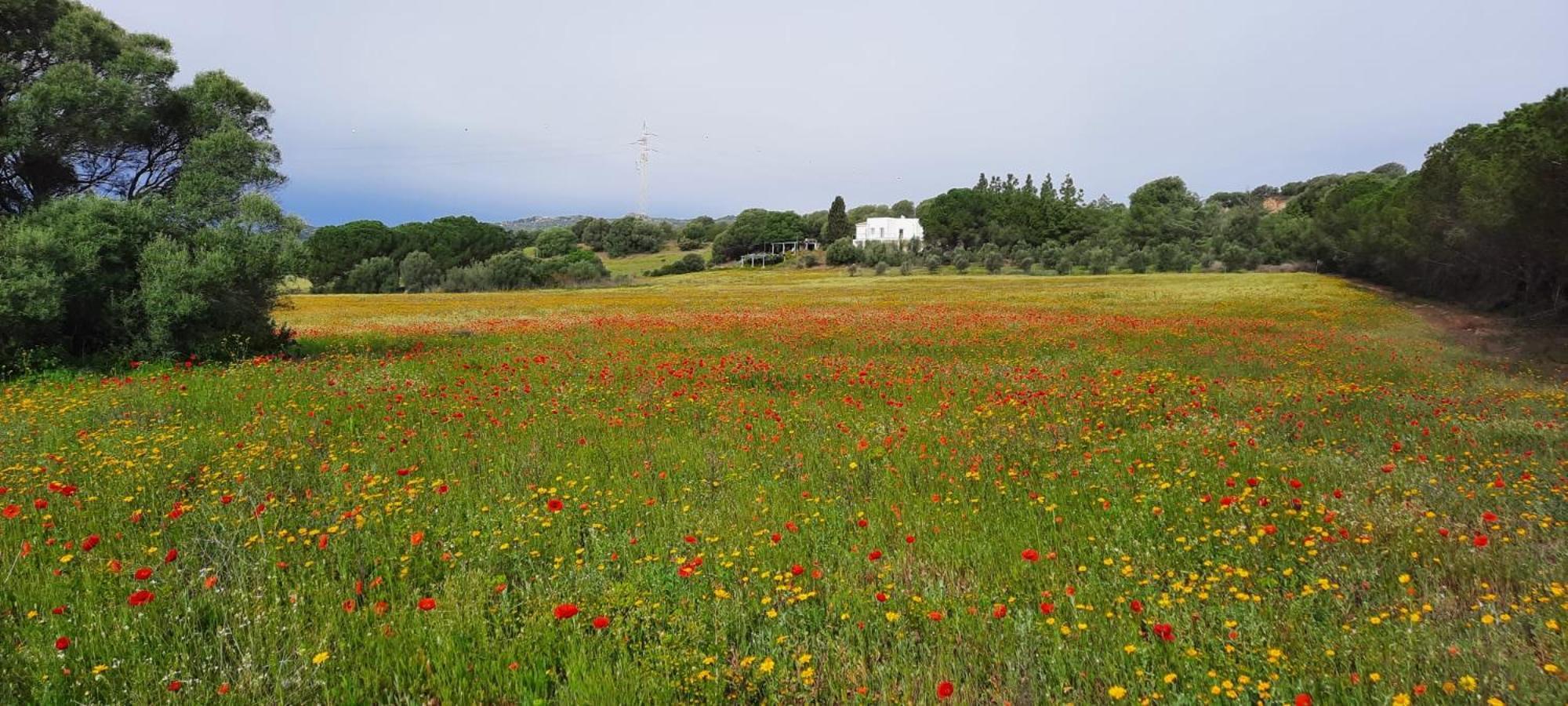 Agreen Country House Olbia Exterior foto