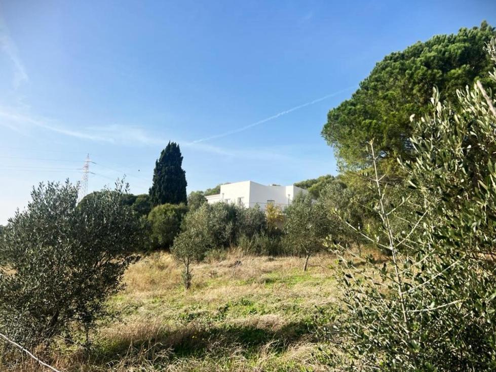 Agreen Country House Olbia Exterior foto