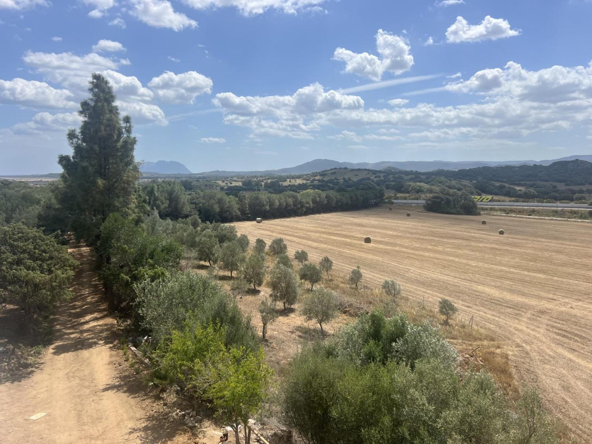 Agreen Country House Olbia Exterior foto