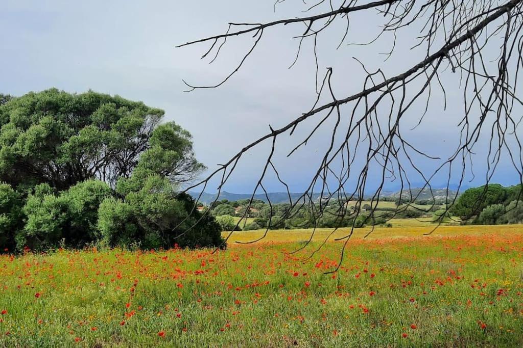 Agreen Country House Olbia Exterior foto